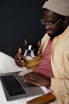 Side view of smiling African American male in casual clothes sitting on chair with Boston terrier and using netbook against black background