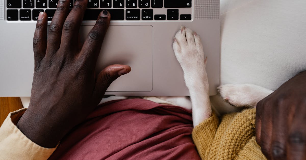 laptop Keyboard Quality: Your Typing Companion