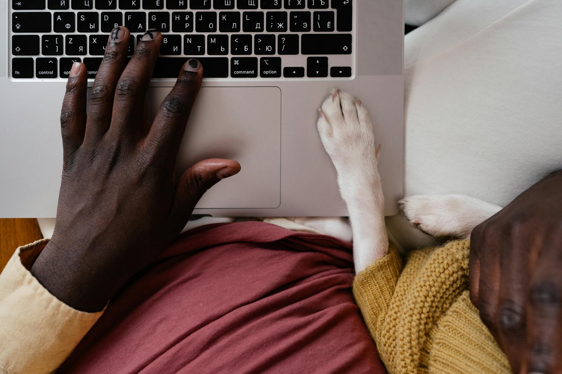 Top view of crop unrecognizable African American male typing on netbook with paw of dog aside