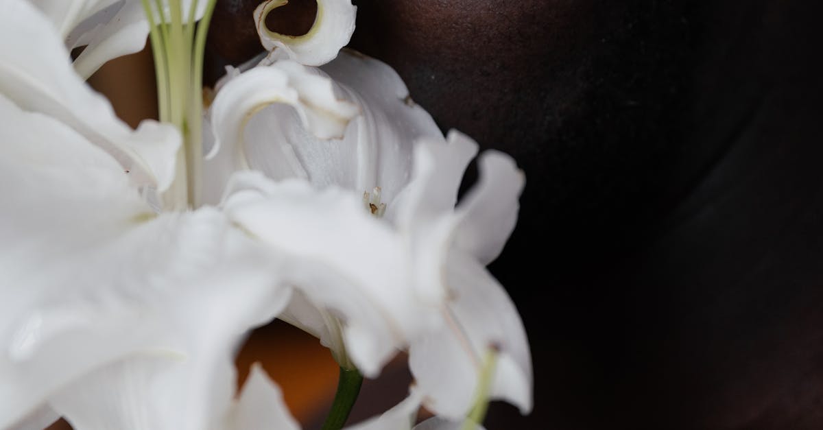 What does chlamydia smell like on a guy