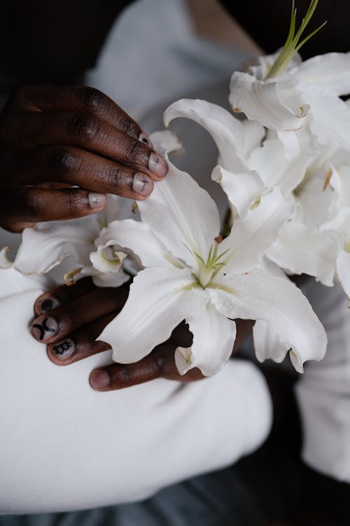 From above of crop unrecognizable black male with manicure touching gentle white lily flowers