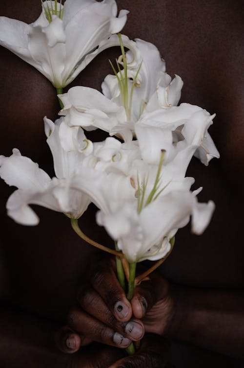 White lily flowers in hand