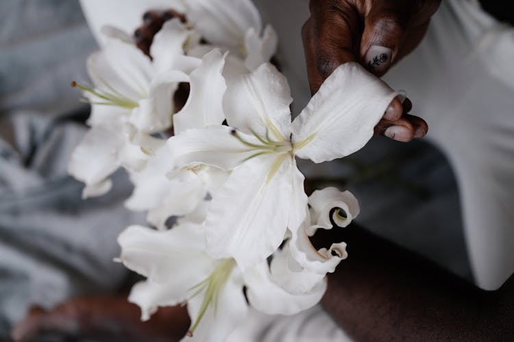 Crop Black Man Touching Lily Flower