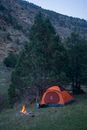 Orange Dome Tent Near Green Trees