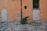 Green Potted Plant Beside White Concrete Building