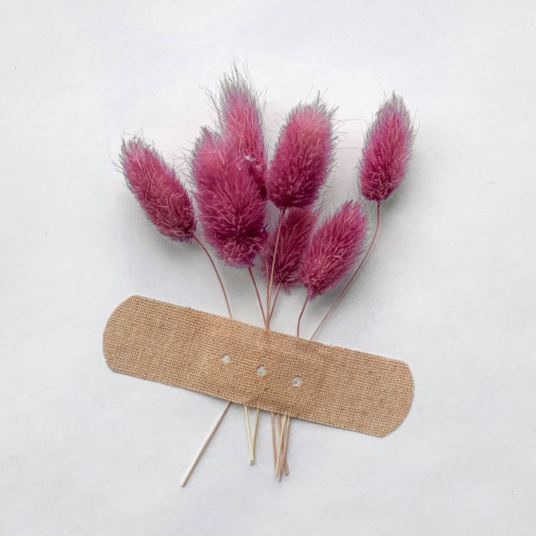 Pink Dyed Grass With Sticking Plaster