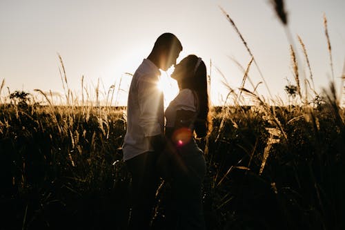 Free Side view of happy couple in love standing close and touching with noses among grass in sunny evening Stock Photo