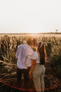 High angle back view of couple holding hands and kissing while standing in grassy valley at sundown