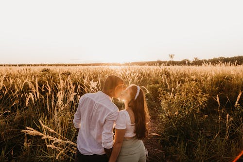 High angle back view of romantic couple with closed eyes kissing tenderly in grassy field at sundown in countryside