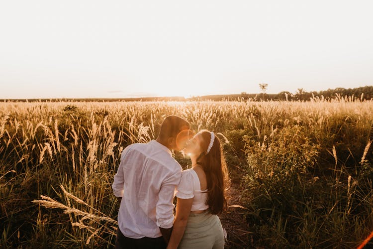 Loving Couple Kissing In Vast Field At Sunset