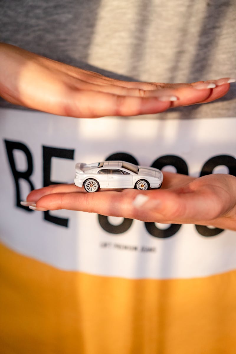Person Holding White and Black Car