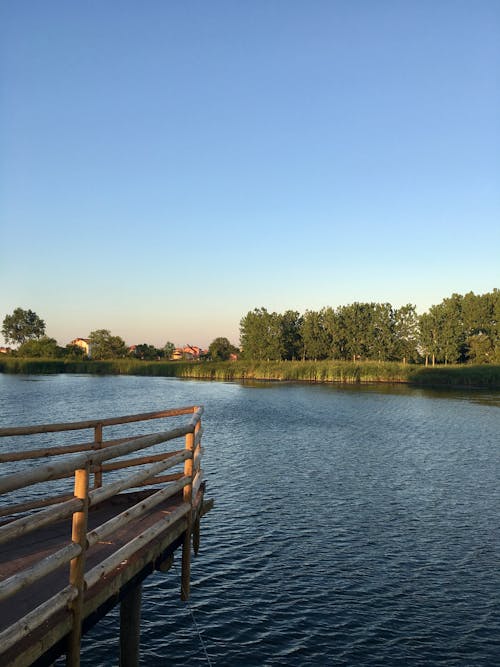 Fotos de stock gratuitas de agua, al aire libre, campo