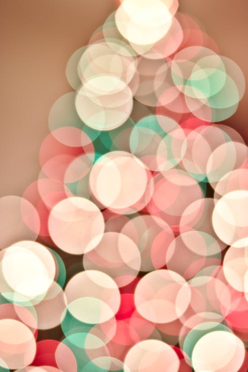 Free stock photo of blurry, christmas, christmas eve