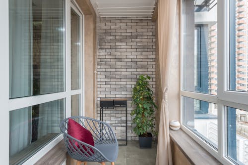 Chair with soft cushion and fresh potted plant placed in spacious patio of modern apartment in daylight