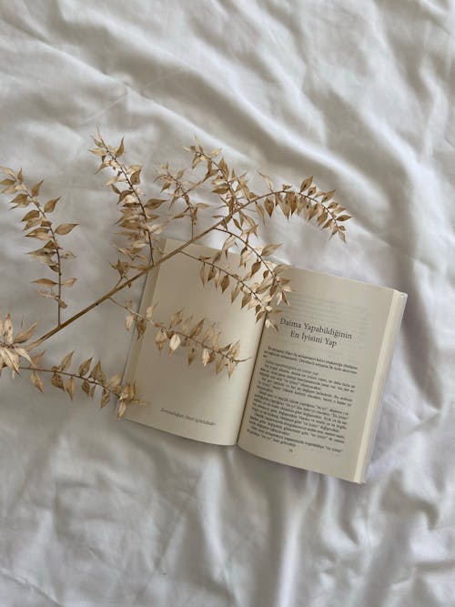 Open Book and a Dry Twig Lying on White Bedsheets