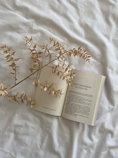 Open Book and a Dry Twig Lying on White Bedsheets · Free Stock Photo