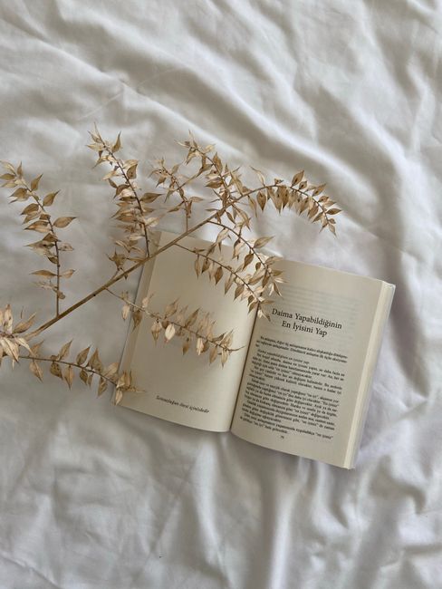 Open book with dried twig on white bed, offering a serene and artistic vibe.