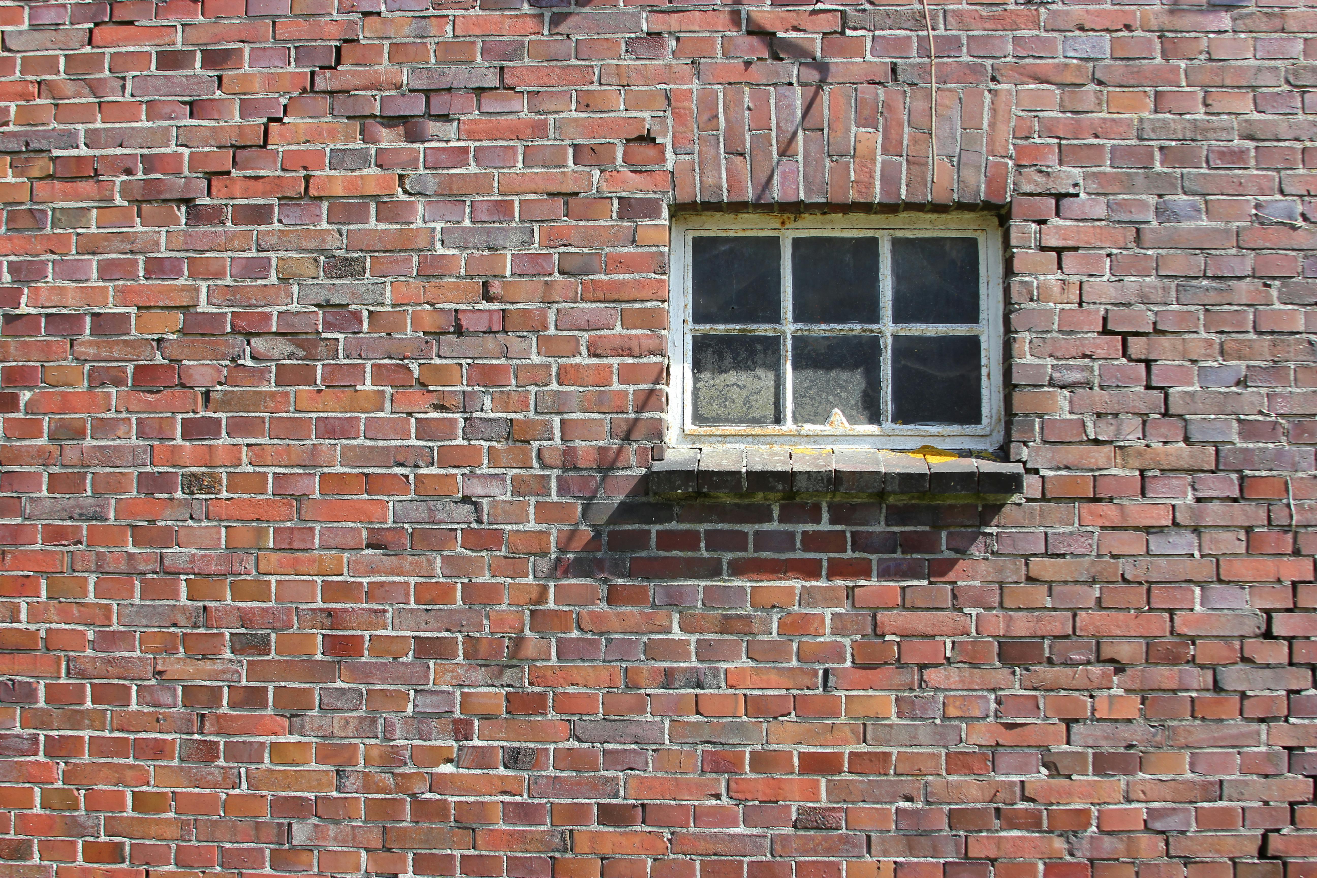 SPC Vinyl Tile Flooring