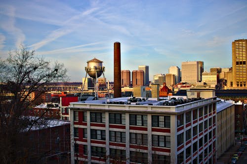 White and Brown City Buildings