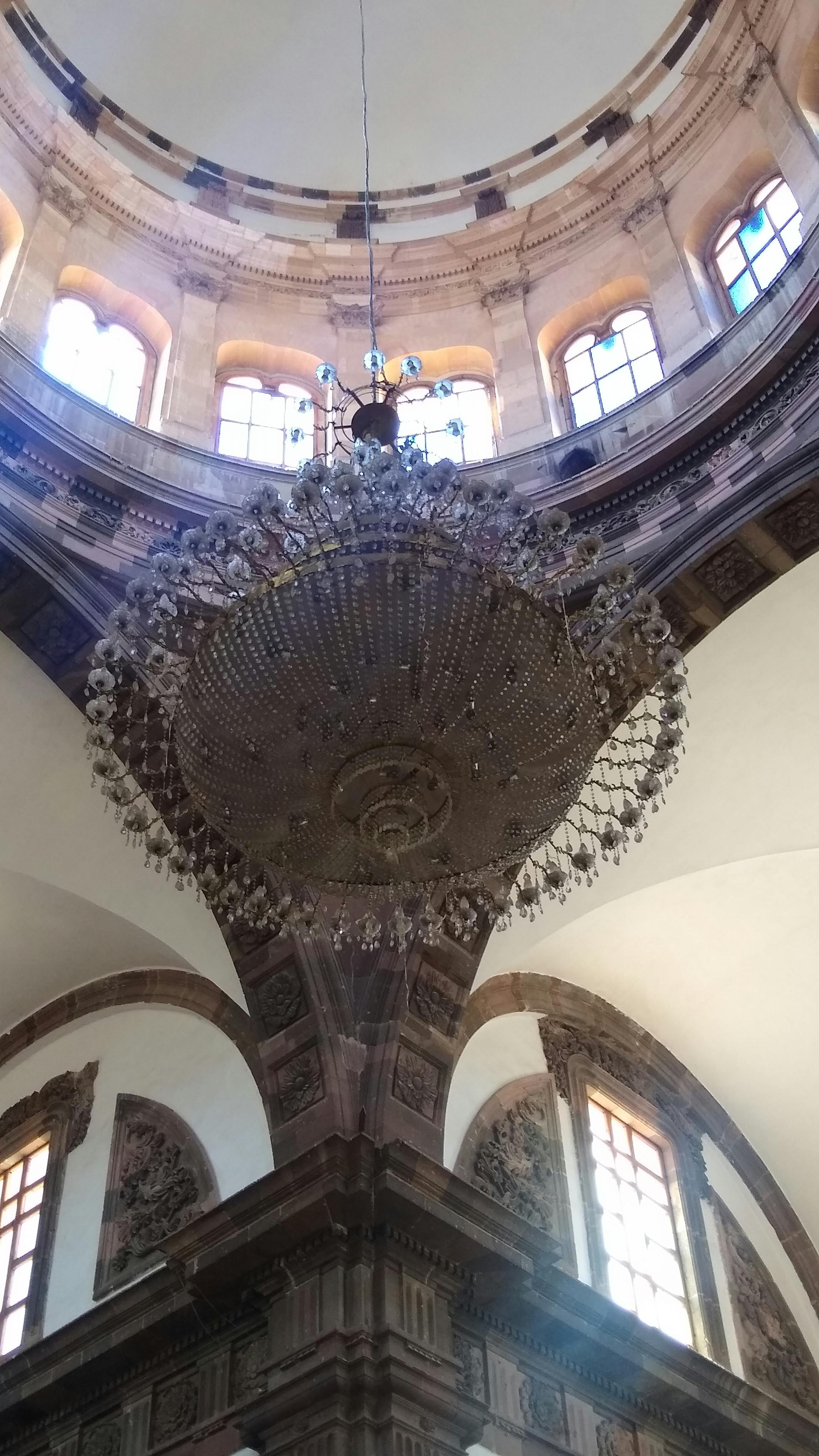 Scientist examining mosquito specimens in a laboratory