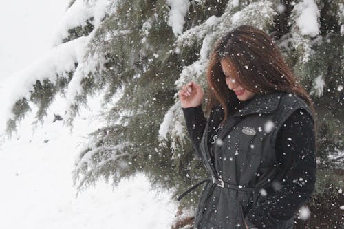 Immagine gratuita di albero, forte nevicata, foto astratta