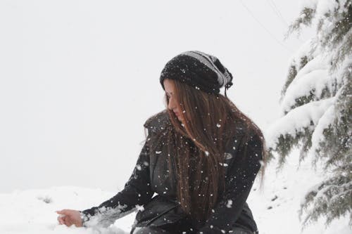 Immagine gratuita di albero, forte nevicata, fotografia