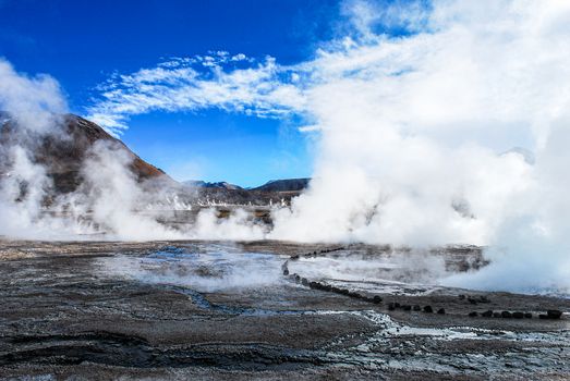 Tatio geysers at dawn — Atacama Desert