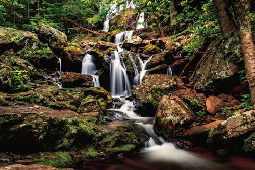 Foto profissional grátis de água corrente, cachoeira, enseada