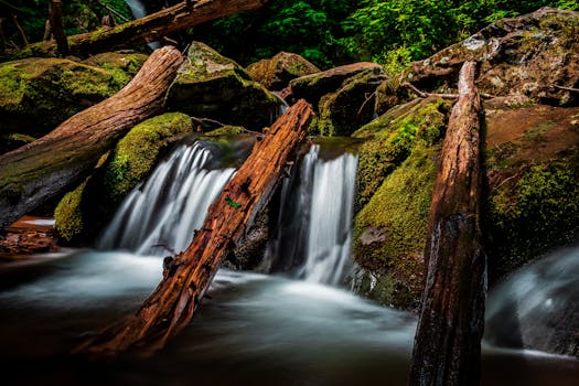 Peaceful waterfall over mossy rocks in Shenandoah National Park, VA.