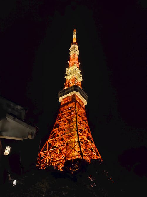 Free The Tokyo Tower at Night Stock Photo