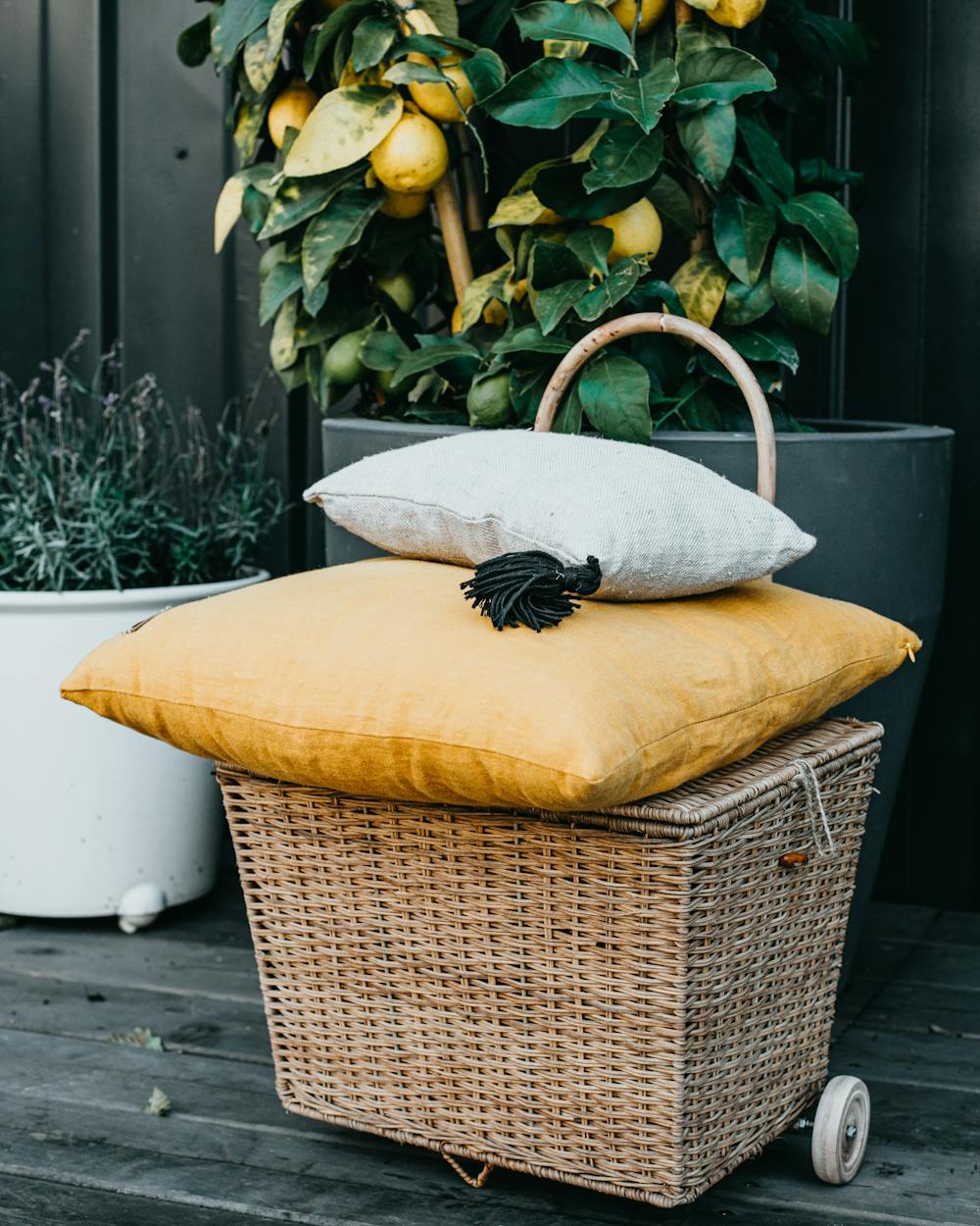 Batik Tasseled Cushions