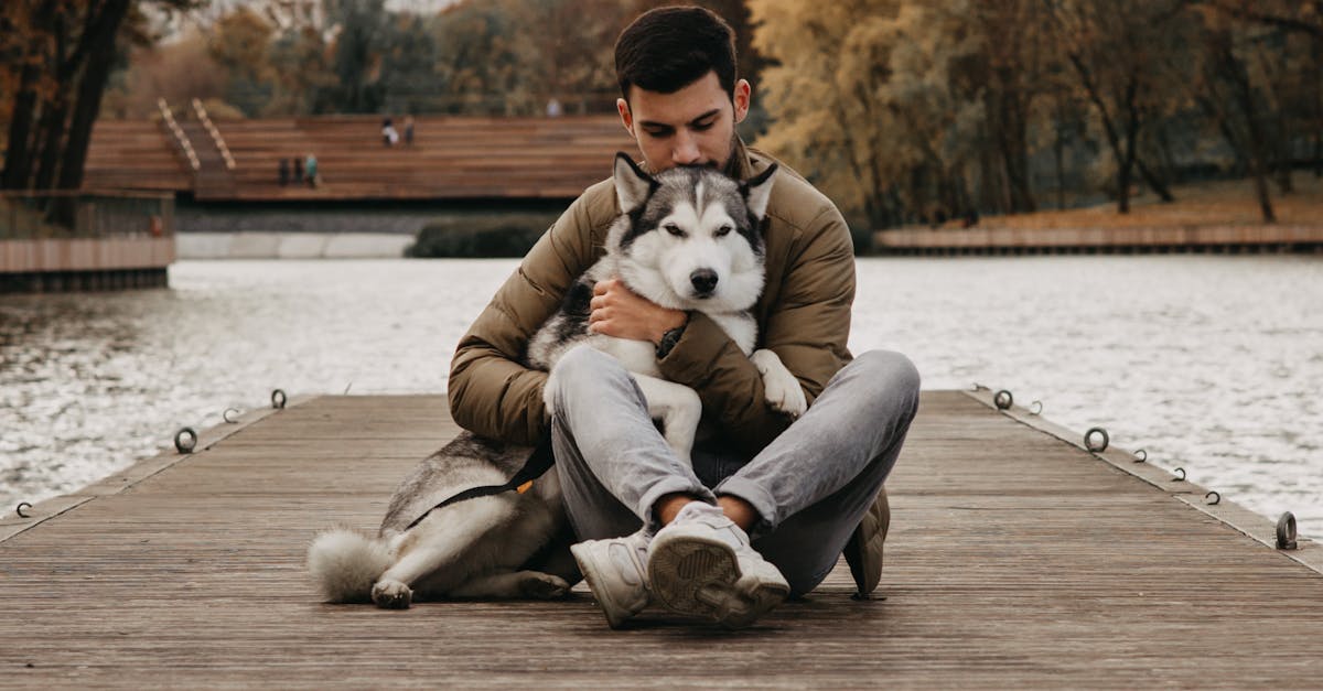How much salt can kill your dog