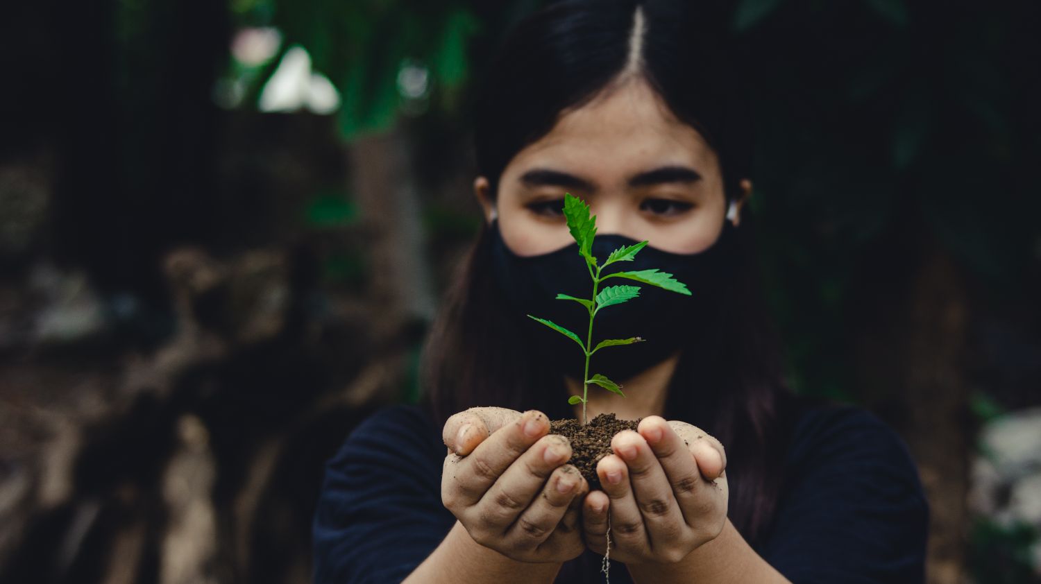 Save Tree Photos, Download The BEST Free Save Tree Stock Photos & HD Images