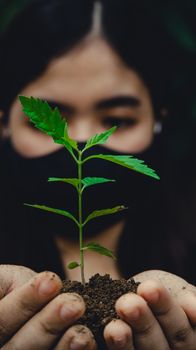 A woman wearing a mask holds a young seedling, symbolizing growth and environmental care.