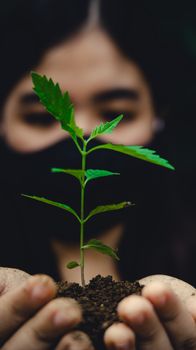 Close-up of a woman holding a young plant in soil, symbolizing growth.