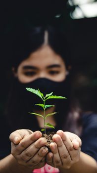 Close-up of a woman holding a small seedling, symbolizing growth and nature.