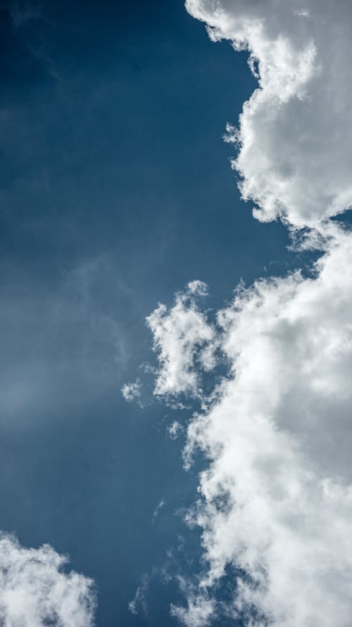 Kostenloses Stock Foto zu aufnahme von unten, bauschige wolken, blaue himmel