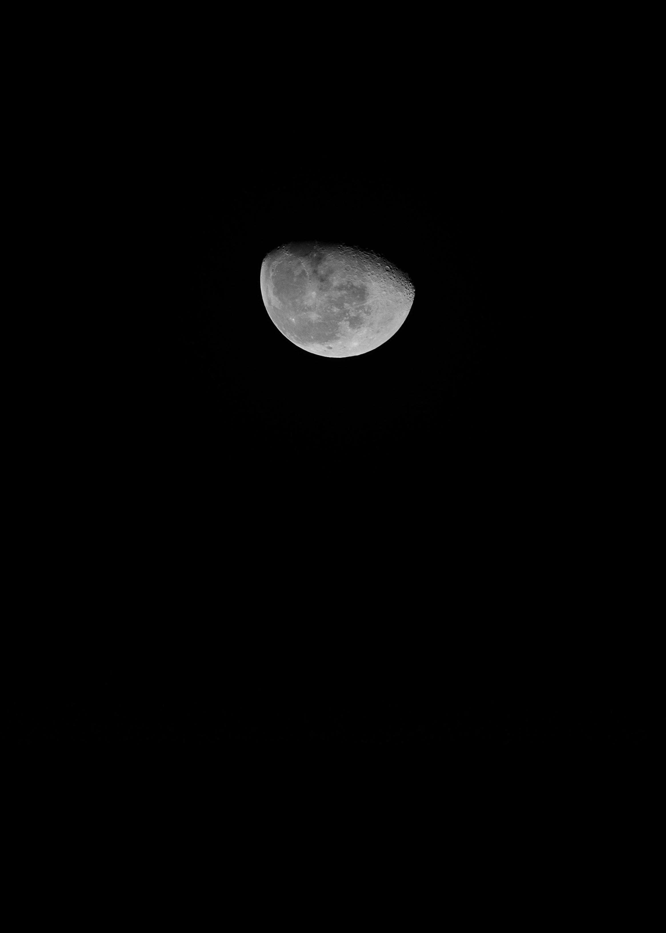 A striking half-moon captured against a pitch-black night sky.