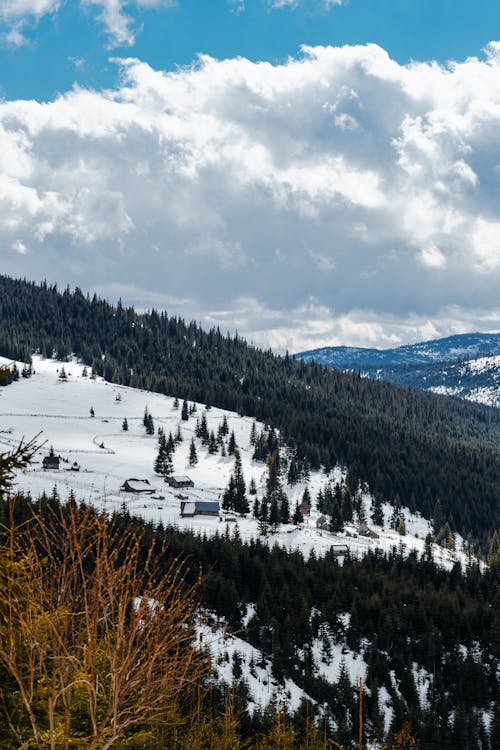 Imagine de stoc gratuită din acoperit de zăpadă, conifere, dealuri