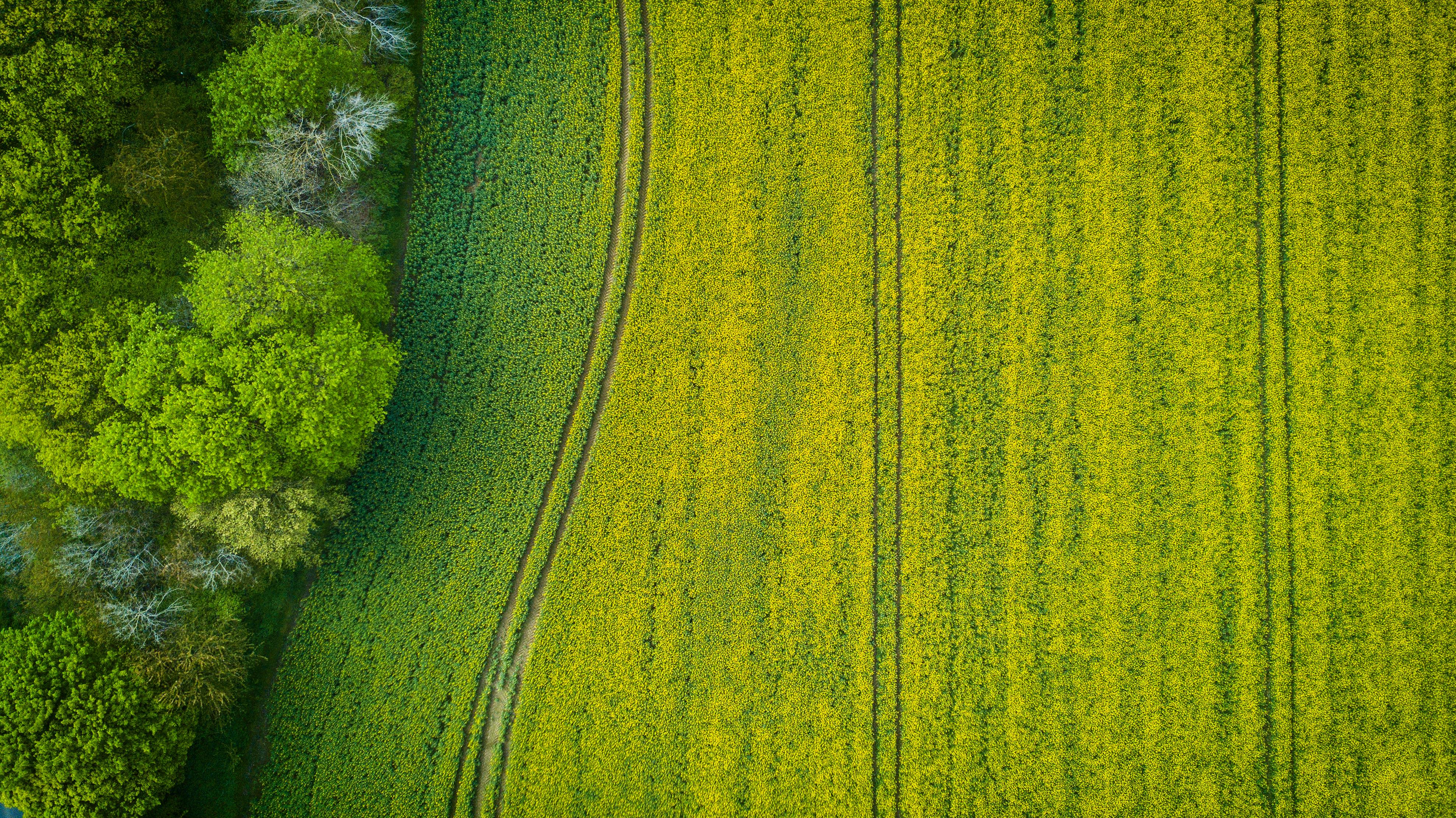 field aerial view