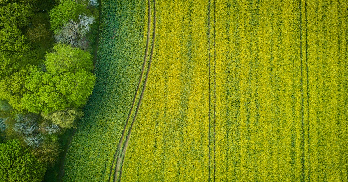 Aerial Photography of Wide Green Grass Field