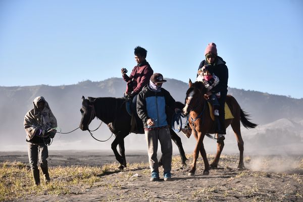 Horse Riding Experience
