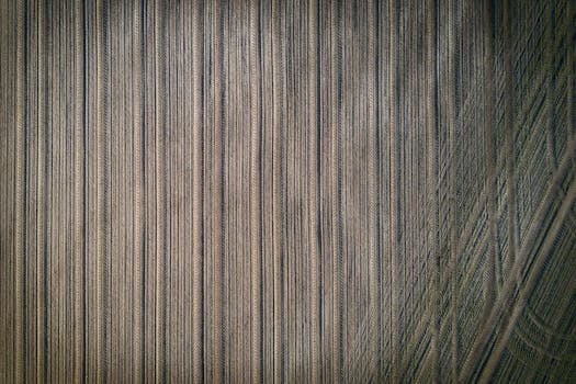 德国施维林附近一片玉米地图案复杂，鸟瞰图令人惊叹