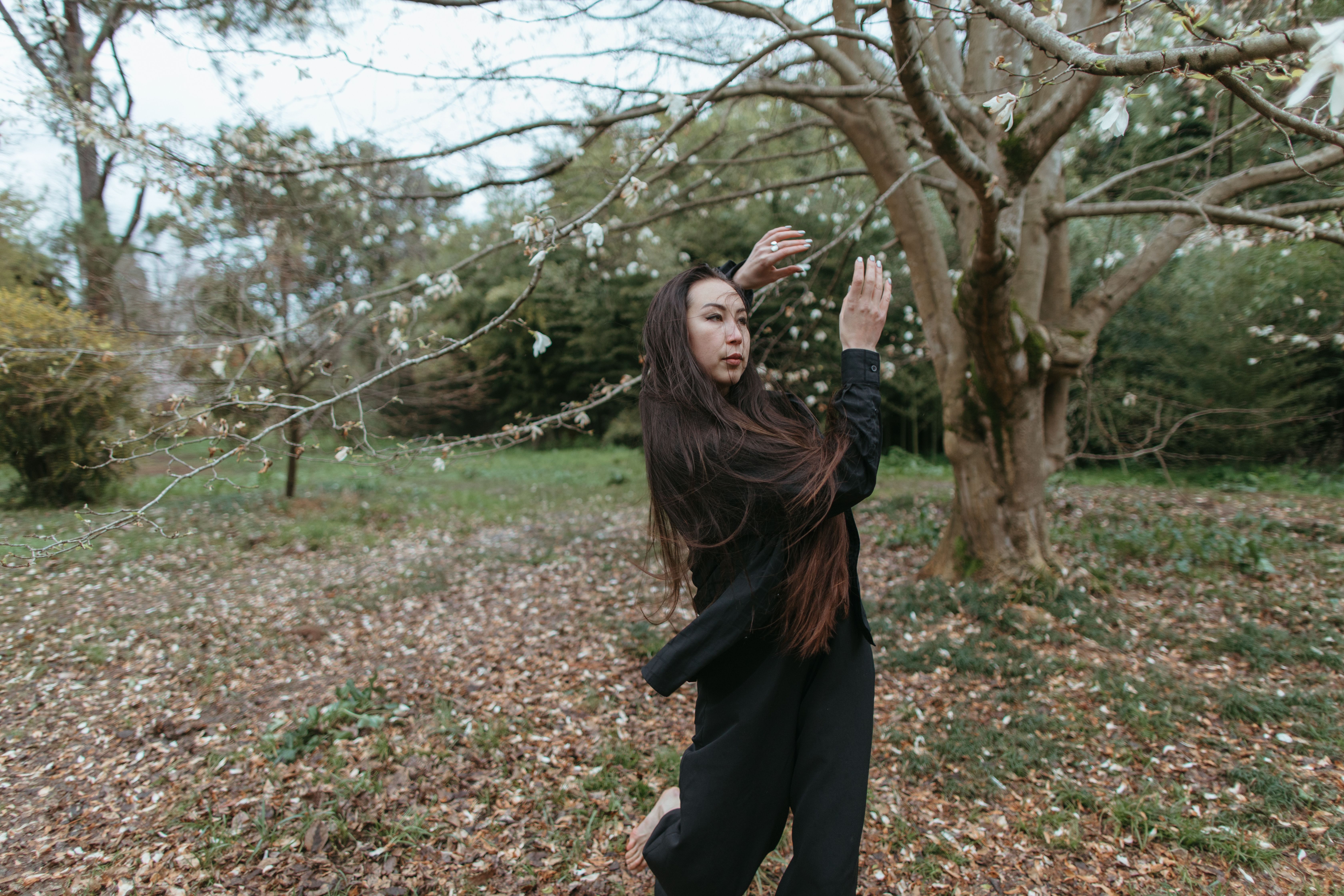 Woman in Black Jacket Standing Near Bare Trees · Free Stock Photo