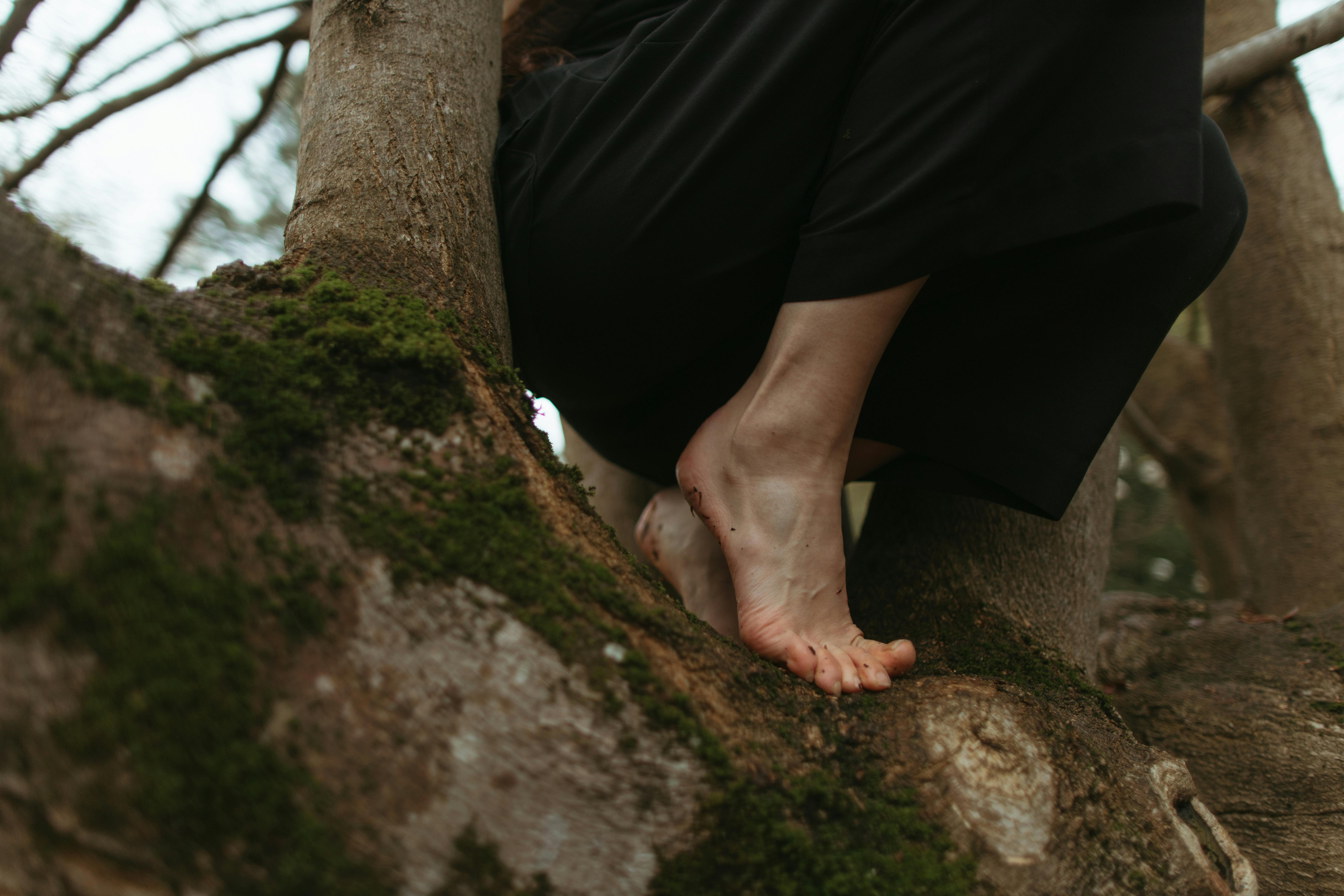 bare feet of a woman on the tree trunk