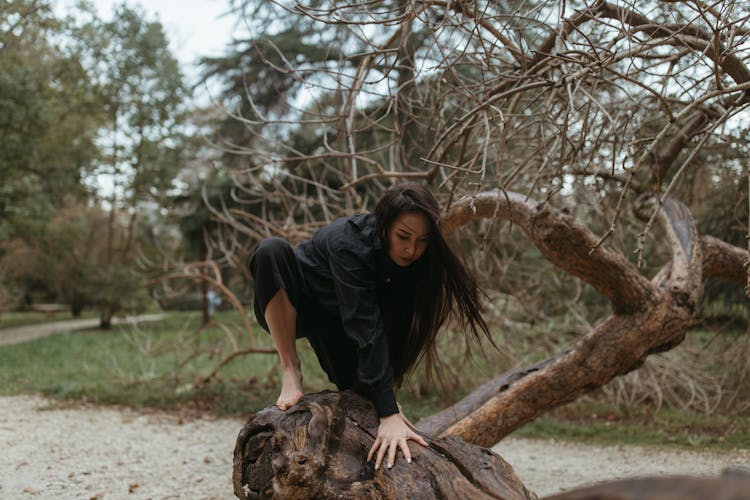 Woman In Black Long Sleeve Shirt Climbing Tree