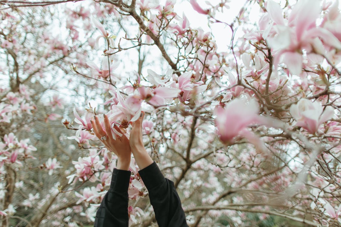 Warsaw Old Town Market Square