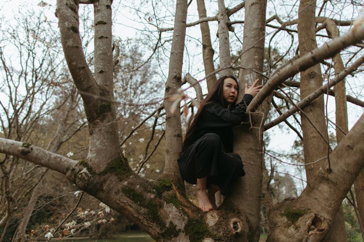 A Woman Climbing A Tree