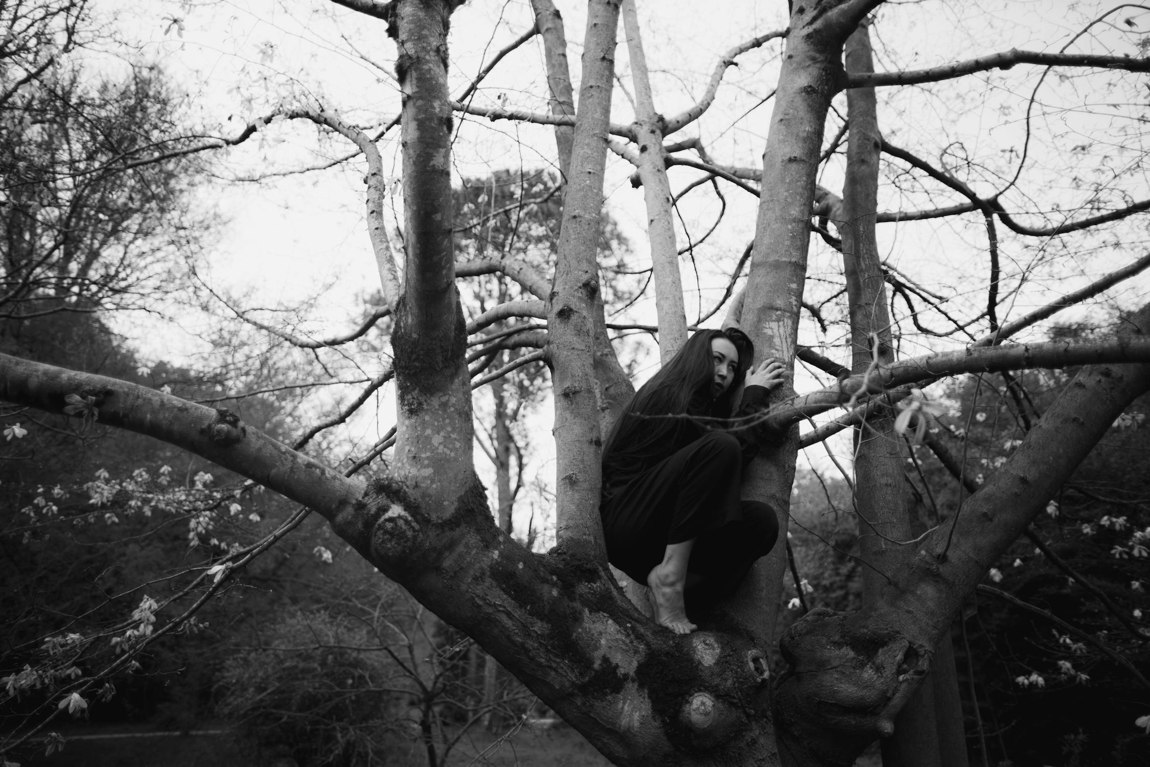 Man in Black Jacket Sitting on Tree Branch · Free Stock Photo