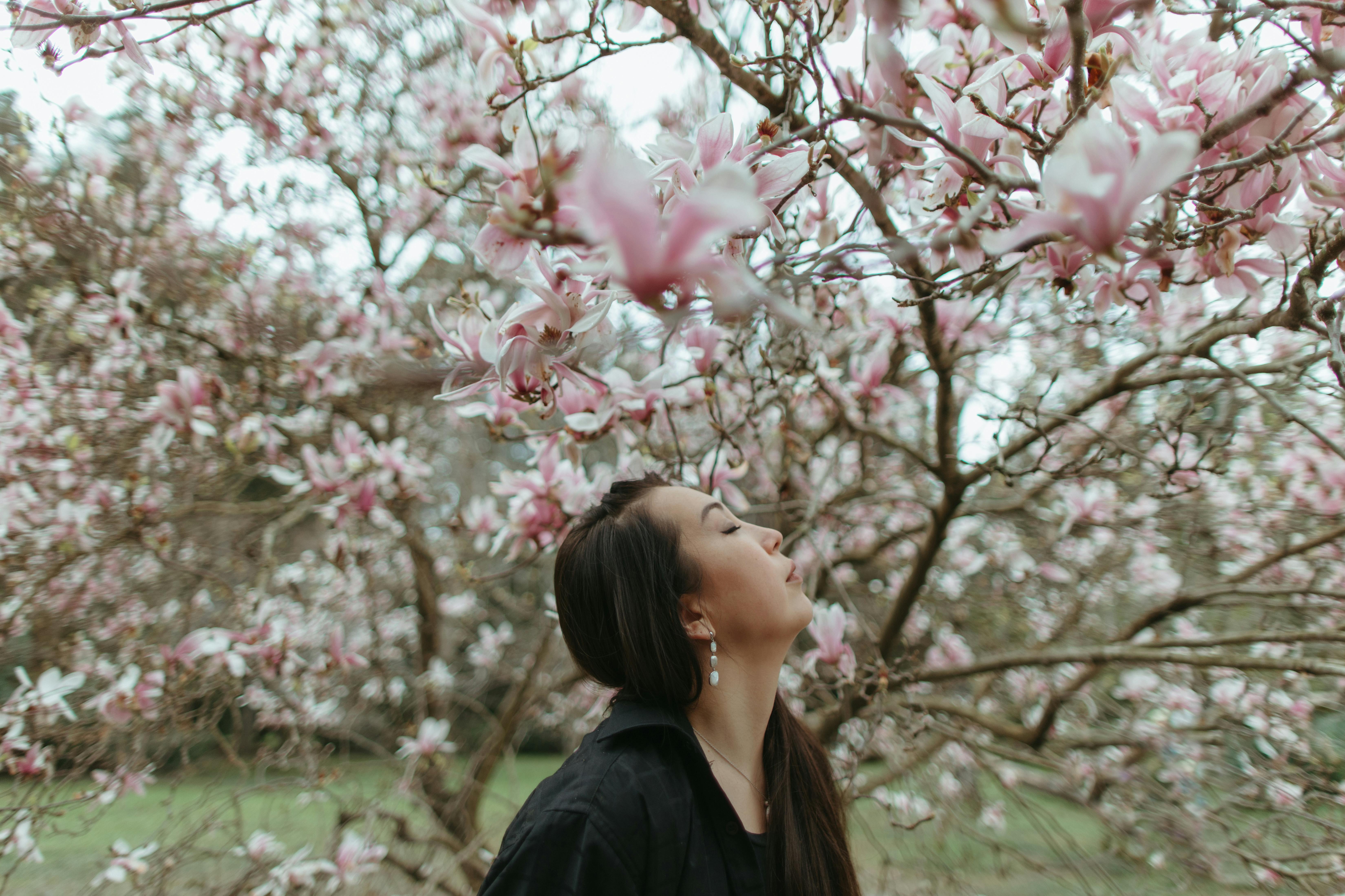 Magnolia’s AAA Hobbies To Close 2026 (Second Half). Iconic Hobby- Craft Emporium — Photo by Yaroslav Shuraev on Pexels